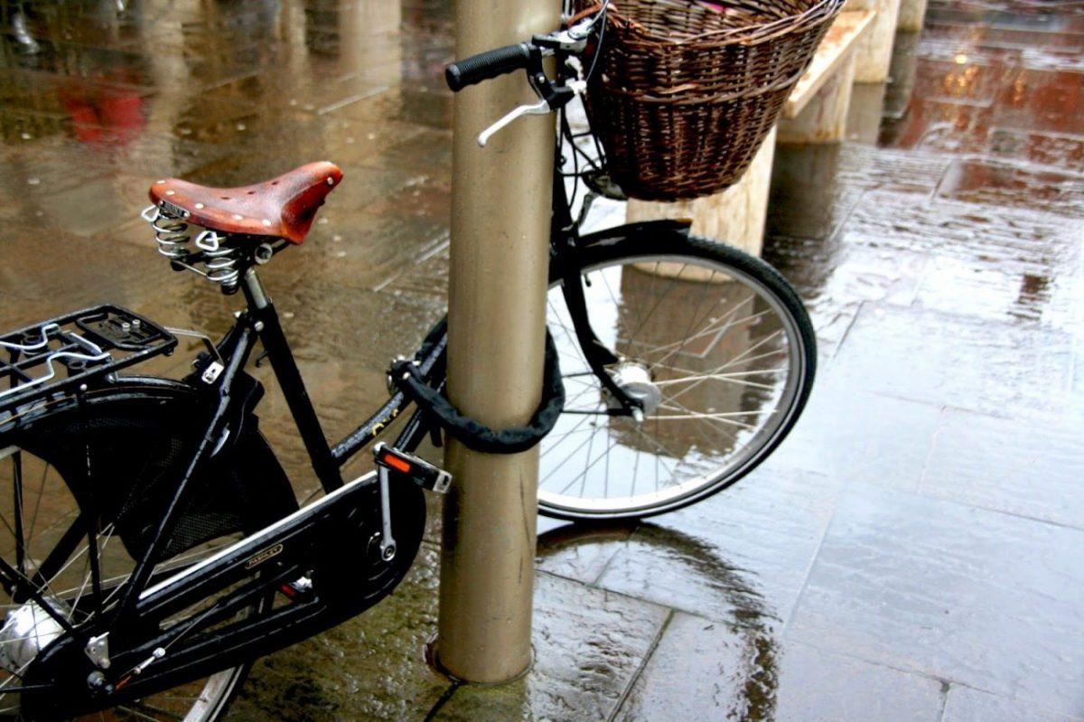IMG 7844 e1465077545507 A daytrip to cambridge