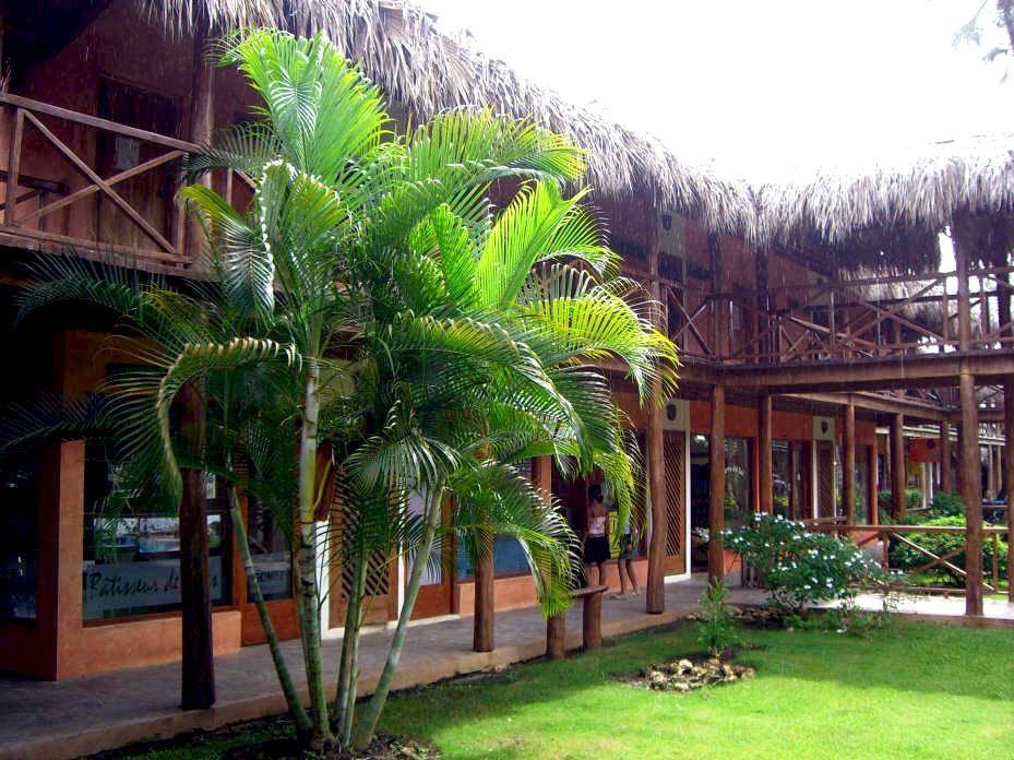 On Horseback through the Dominican Republic - Las Terrenas