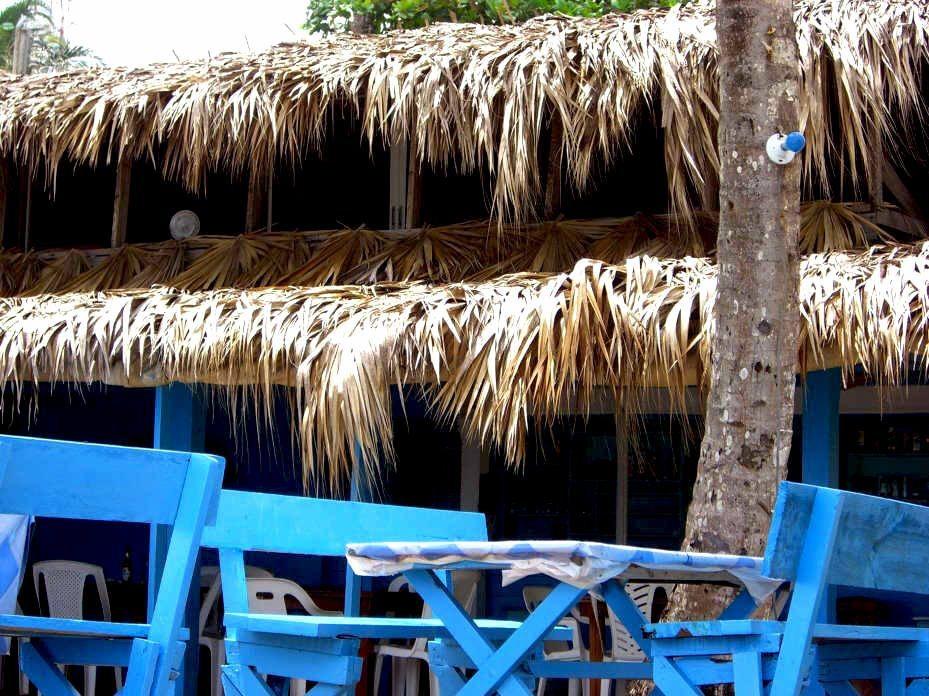 On Horseback through the Dominican Republic - Las Terrenas