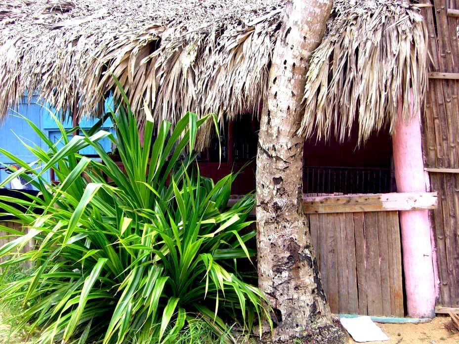 Dominican Republic Las Terrenas H 37 Copy