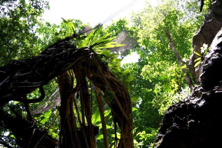 On Horseback through the Dominican Republic - Los Haites National Park