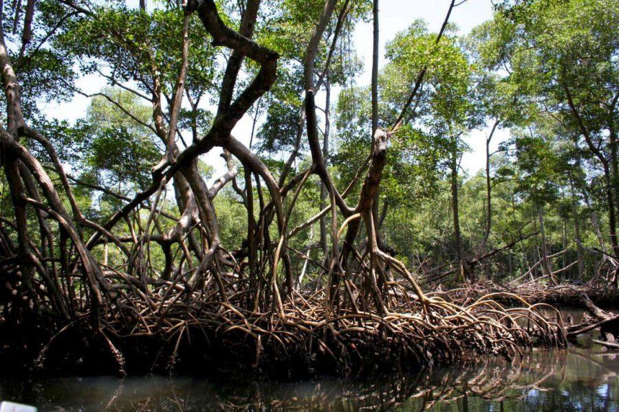 On Horseback through the Dominican Republic - Los Haites National Park