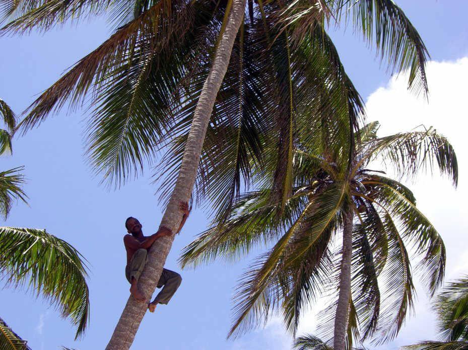 On Horseback through the Dominican Republic - Playa Madama
