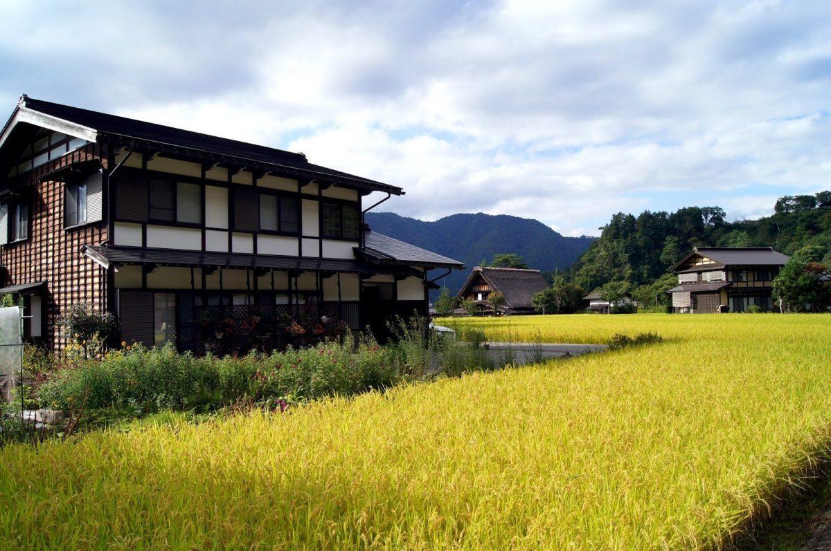 surprisng facts about Japan 1 THE COMPLETE ITINERARY: THE BEST OF JAPAN IN TWO WEEKS BY RAIL shirakawago
