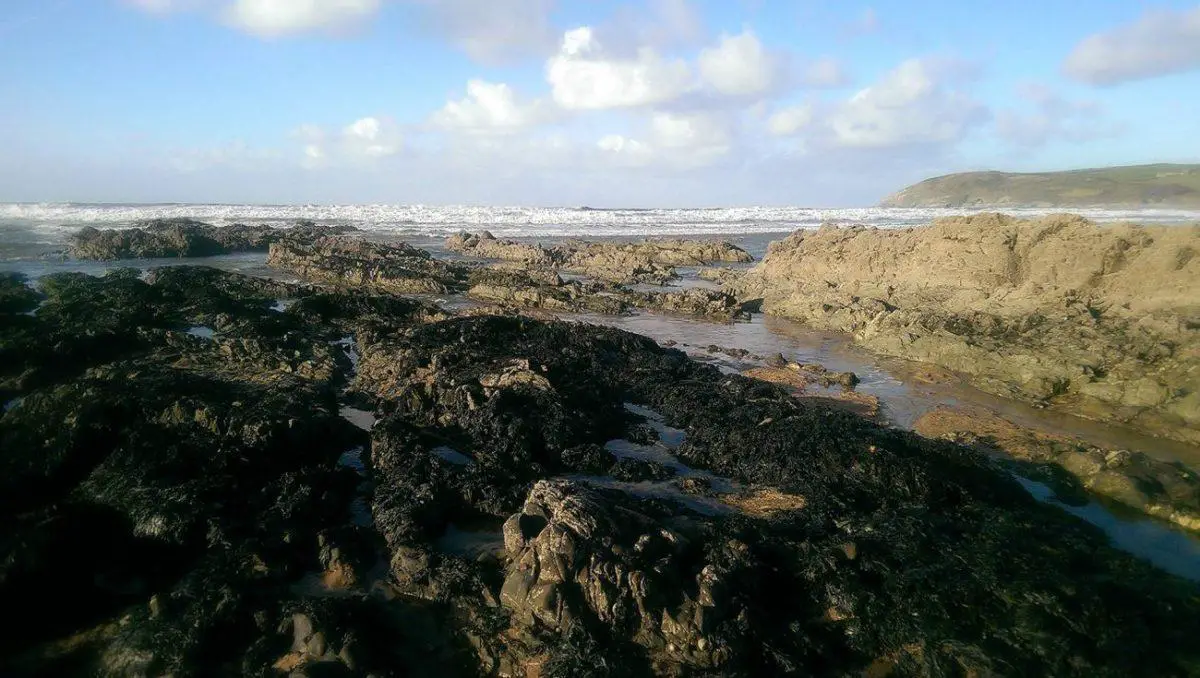 Croyde Cottages and Clotted Cream - A Coastal Walk in Devon - Rockpools on Croyde Beach