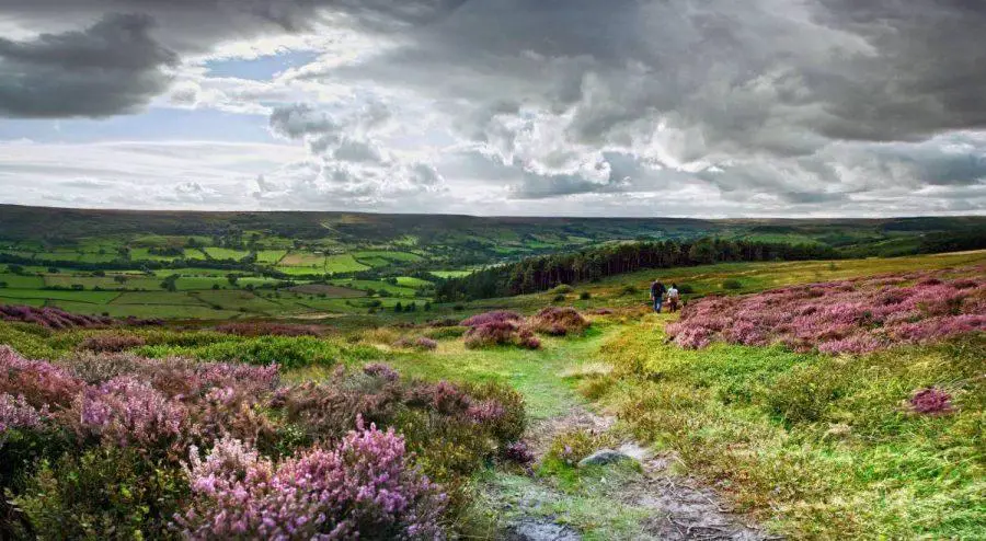 A long weekend in york itinerary - yorkshire moors