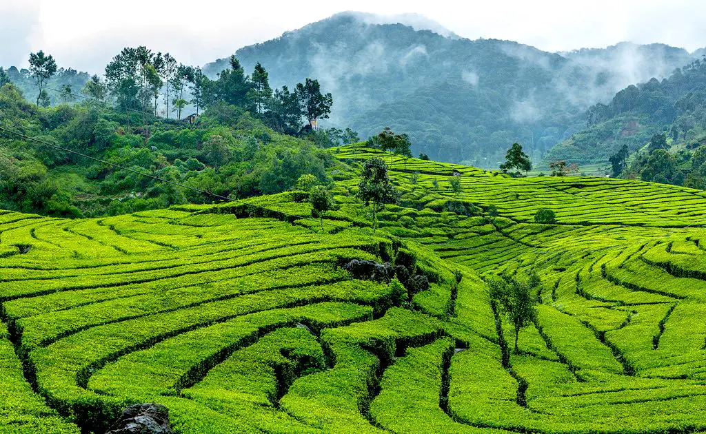 11 Experiences you must have in Bandung  Indonesia A Life 