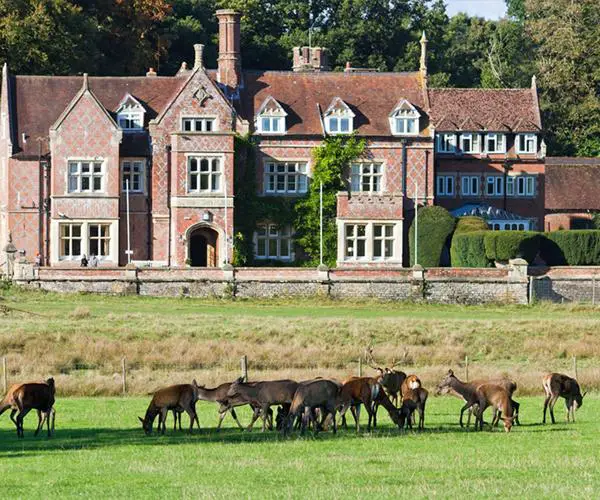 new forest food and drink festival burley manor new-forest-food-and-drink-festival-burley-manor
