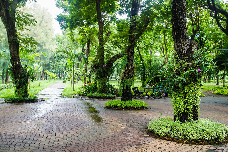 Lumphini Park in Bangkok
