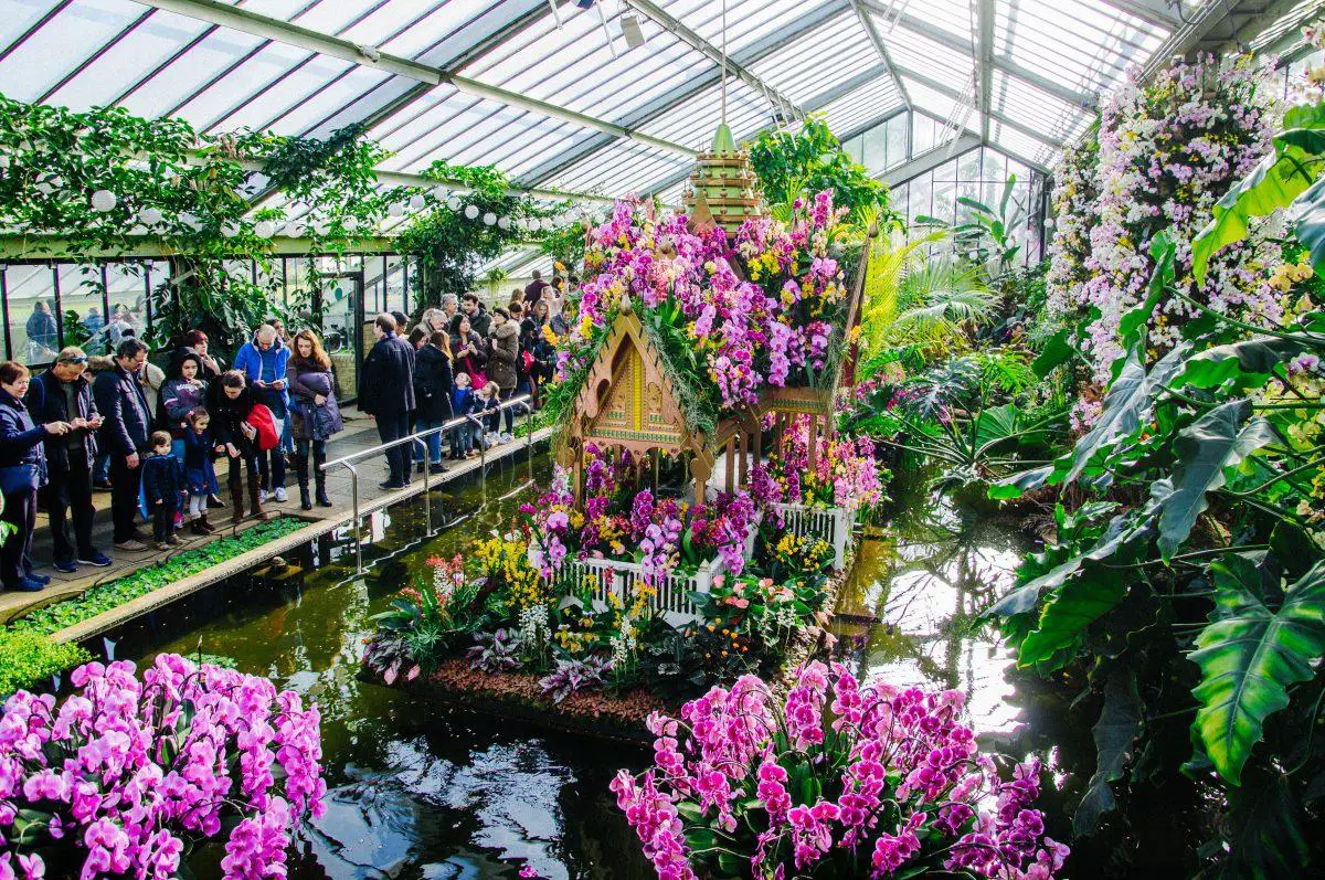 The Beauty of Thailand at Kew Gardens Orchid Festival