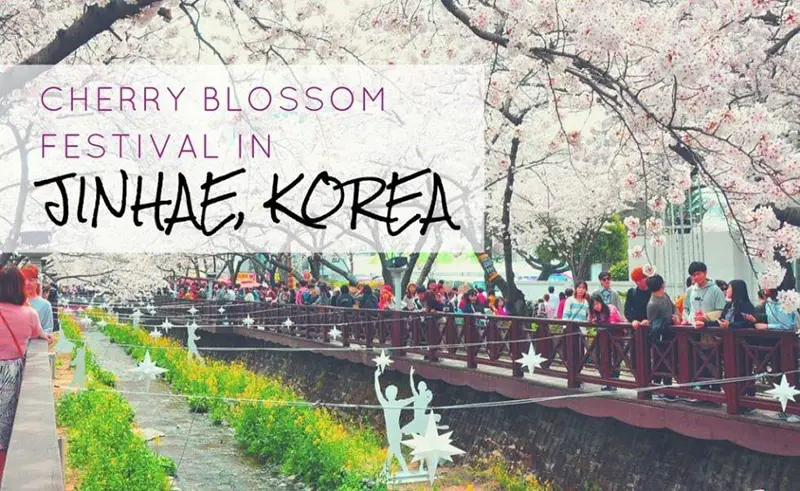 5 Best cities to visit in south korea jinhae