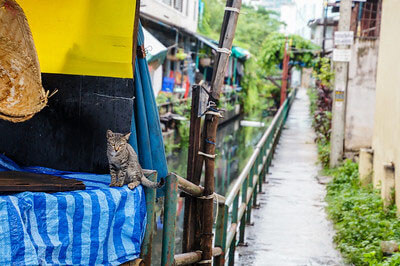 Thonburi canals in Bangkok