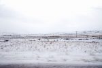 Snow-covered landscape during a winter road trip in Iceland