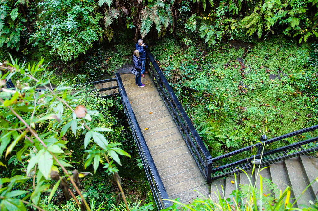 bridge in shanklin chine on the isle of wight Bridge in shanklin chine on the isle of wight
