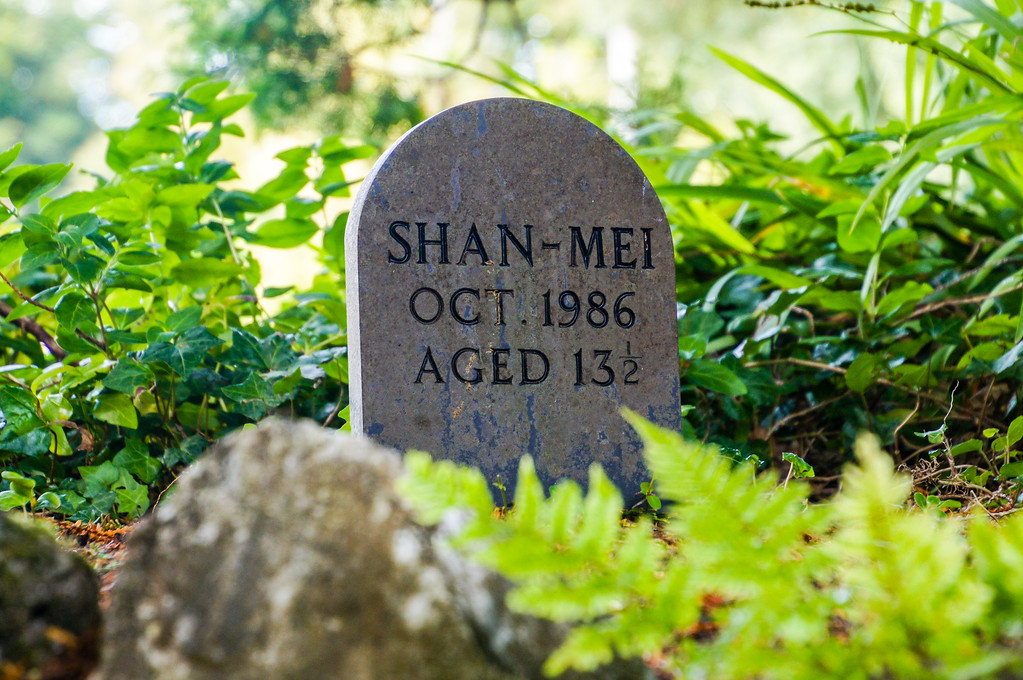 dog tomb stine in the garden of agatha christie greenway in devon dog tomb stine in the garden of agatha christie greenway in devon