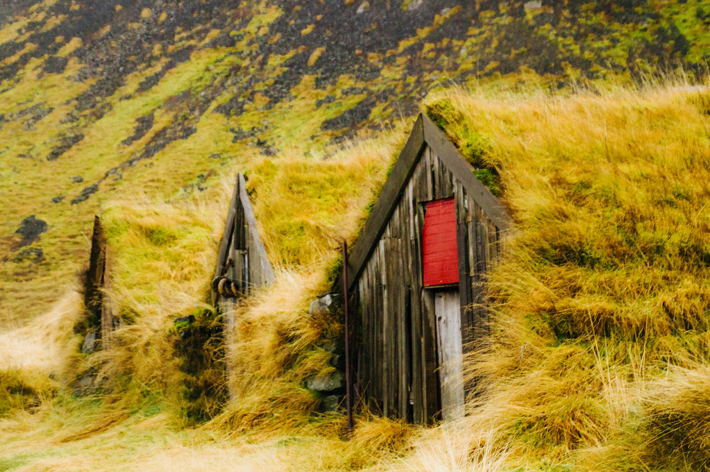 Grass overgrown traditional viking cottages at Núpsstaður