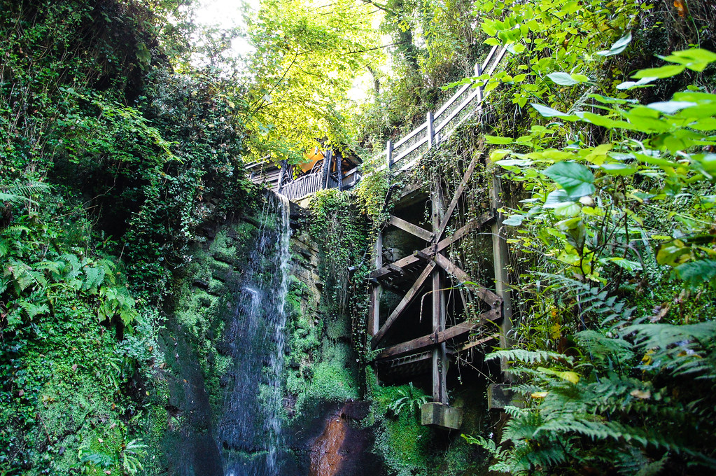 shanklin chine on the isle of wight Shanklin chine on the isle of wight