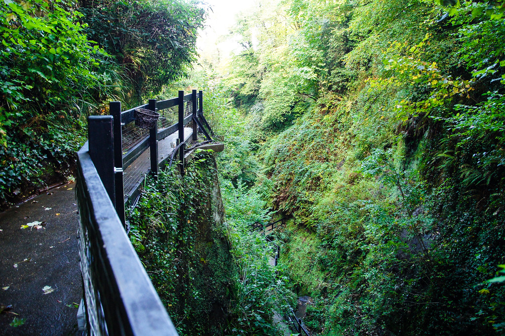 steep drop at the shanklin chine on the isle of wight Steep drop at the shanklin chine on the isle of wight