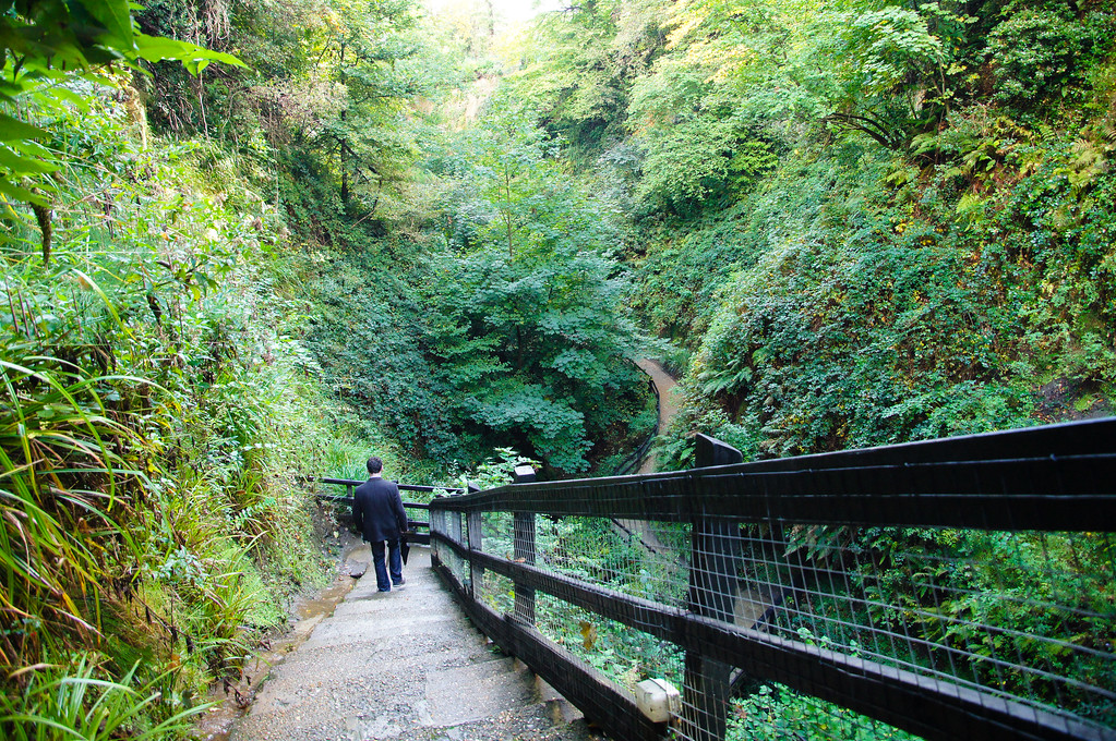 steps at shanklin chine on the isle of wight Steps at shanklin chine on the isle of wight