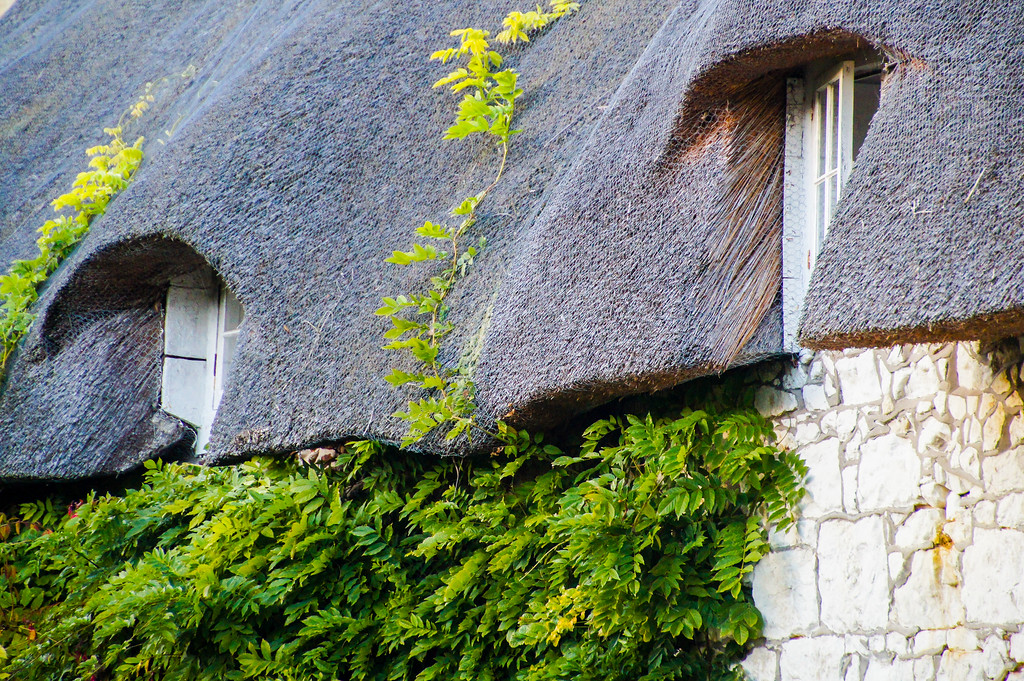 thatched roof of cottages in godshill village on the isle of wight Thatched roof of cottages in godshill village on the isle of wight