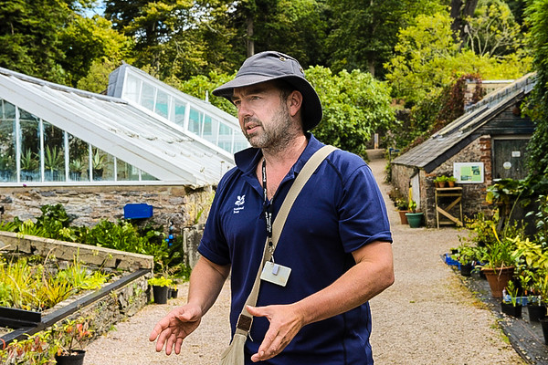 tour guide outside the greenhouses in the garden of agatha christie greenway in devon tour guide outside the greenhouses in the garden of agatha christie greenway in devon