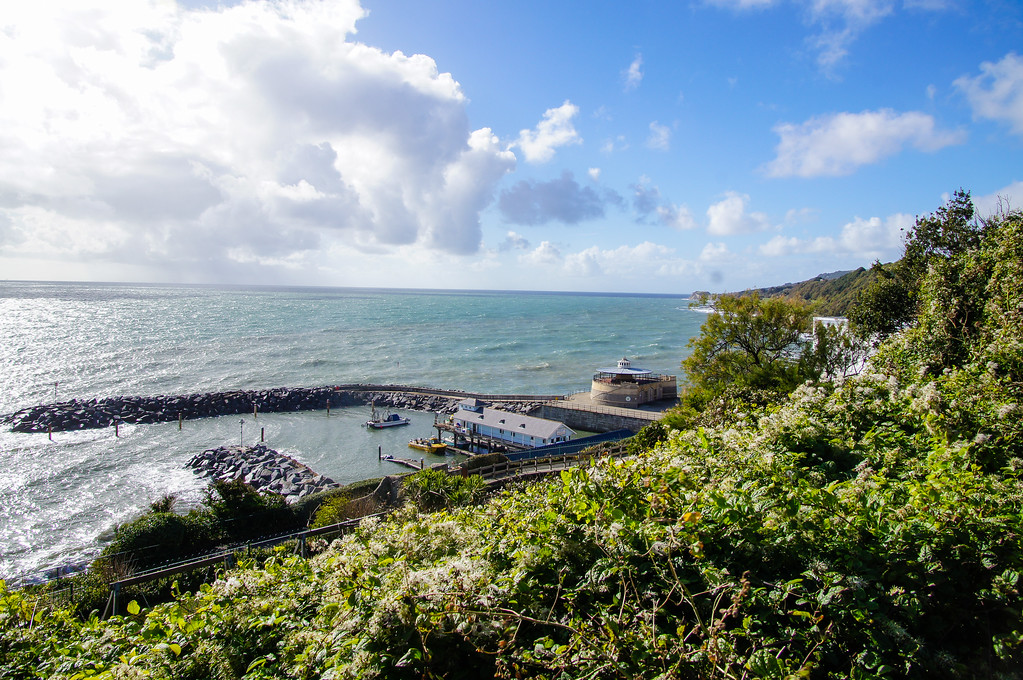 ventnor harbour on the isle of wight Ventnor harbour on the isle of wight