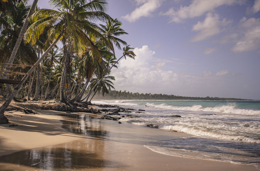 Panorama of the beautiful and natural beach of Playa Limon in the Dominican Republic Panorama of the beautiful and natural beach of Playa Limon in the Dominican Republic