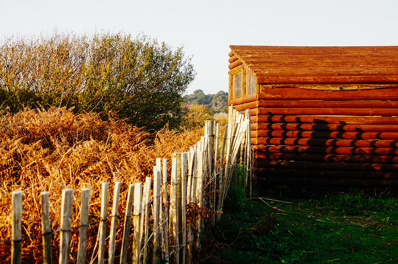 Birdwatching hide near the Jersey Wetland Centre