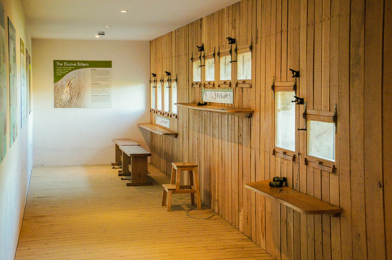 Birdwatching inside the Jersey Wetland Centre