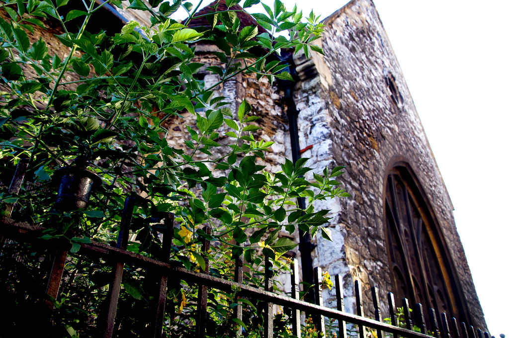 bushes in front of st marys church in guildford