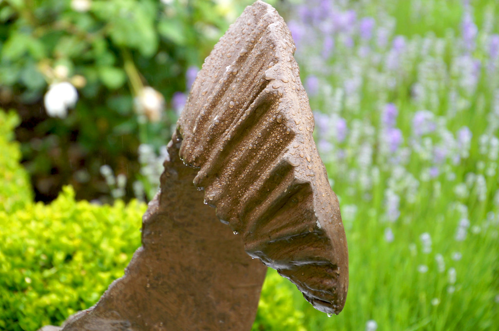 close up of statue in ja robins rose garden Close-up of a statue in Jay Robin's Rose Garden