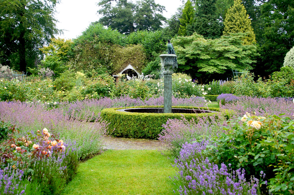 fountain surrounded by heather in jay robins rose garden in borde hill garden Fountain surrounded by heather in Jay Robin's Rose Garden