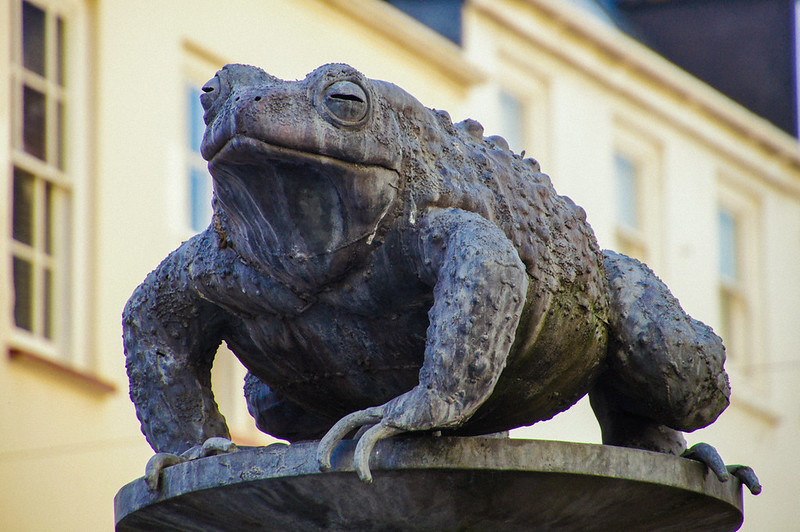 Frog statue in St Helier in Jersey