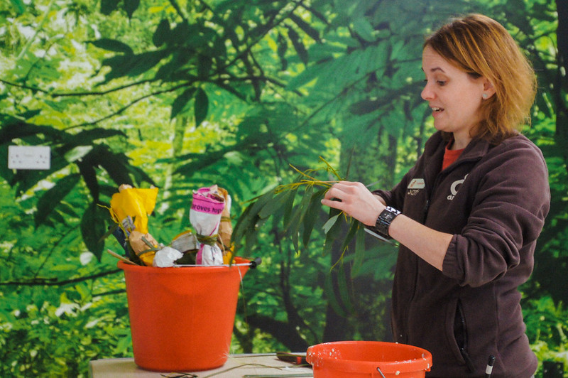 Guide preparing food for bears at Jersey Zoo