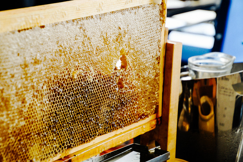 honeycomb on breakfast buffet in Gate hotel kaminarimon