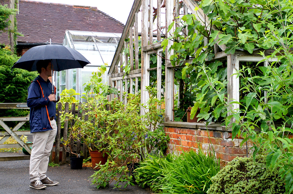 husband standing with umbrella in front of green house in borde hill gardens Gary holding an umbrella beside the greenhouse at Borde Hill