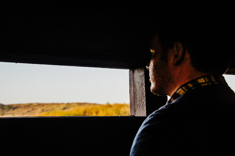 Inside a birdwatching hide near the Jersey Wetland Centre