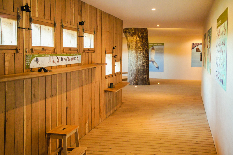 Interior of the Jersey Wetland Centre