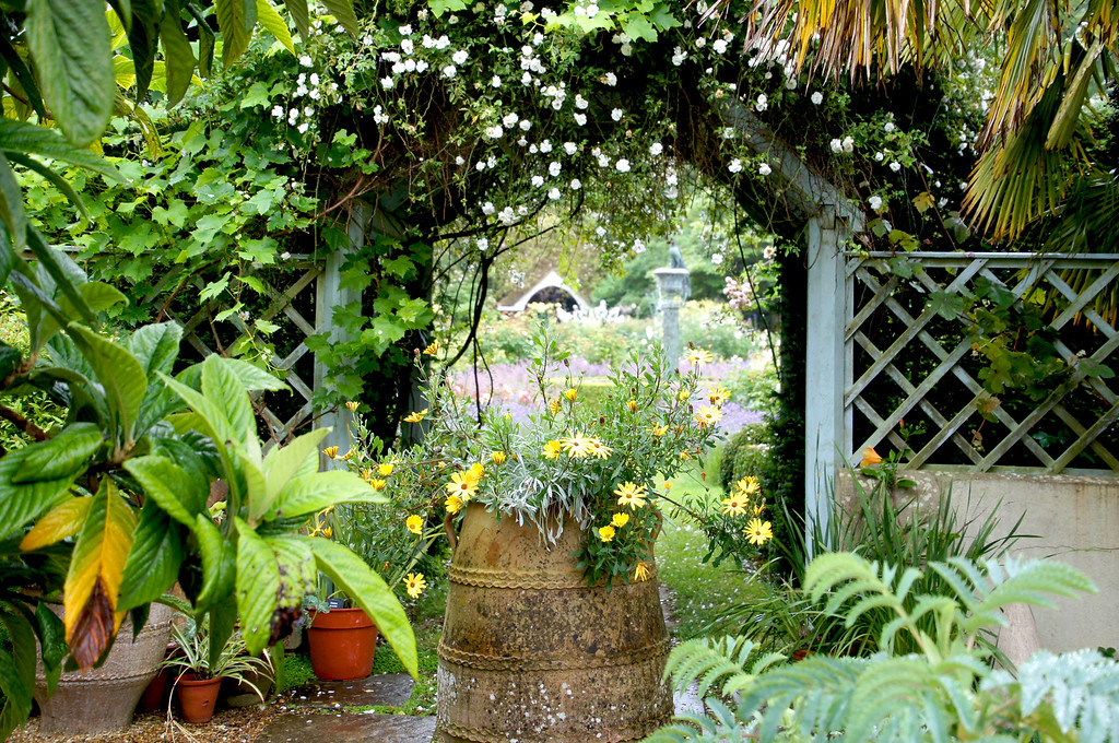 mediterranean garden in borde hill gardens Mediterranean garden in Borde Hill Garden