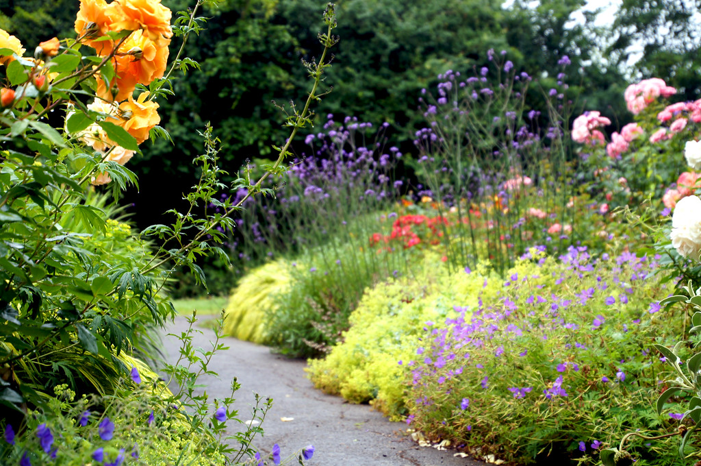 midsummer border in borde hill gardens Midsummer border in Borde Hill Garden