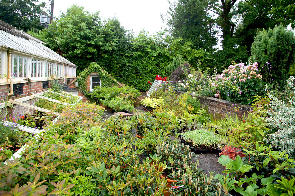 planted garden beside greenhouse in borde hill garden Planted garden beside greenhouse in Borde Hill Garden