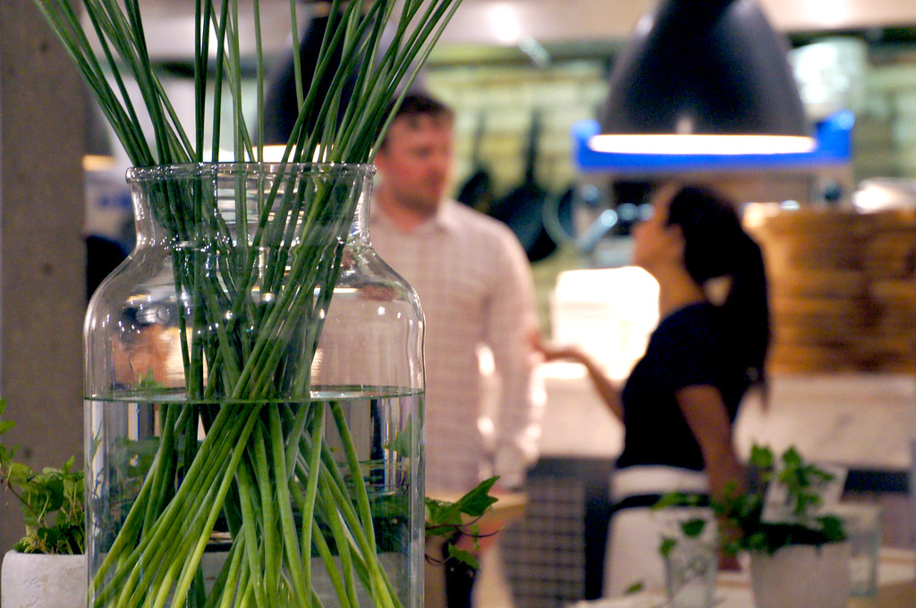 plants in front of staff in no1 duke street richmond london