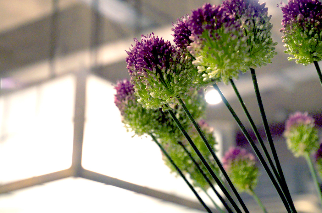 purple and green flowers in no1 duke street richmond london