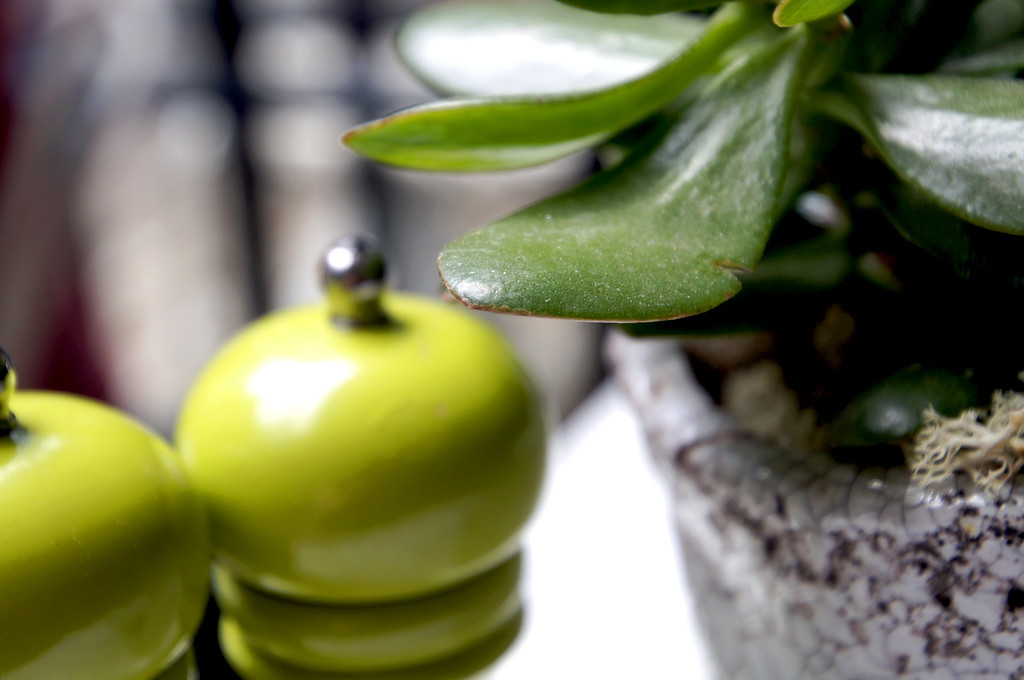 salt and pepper mills and plant on table in outdoor terrace of no1 duke street richmond london