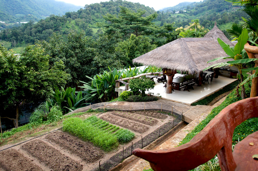 ved patch at panviman chiang mai in thailand Vegetable patch at Panviman Chiang Mai Spa Resort