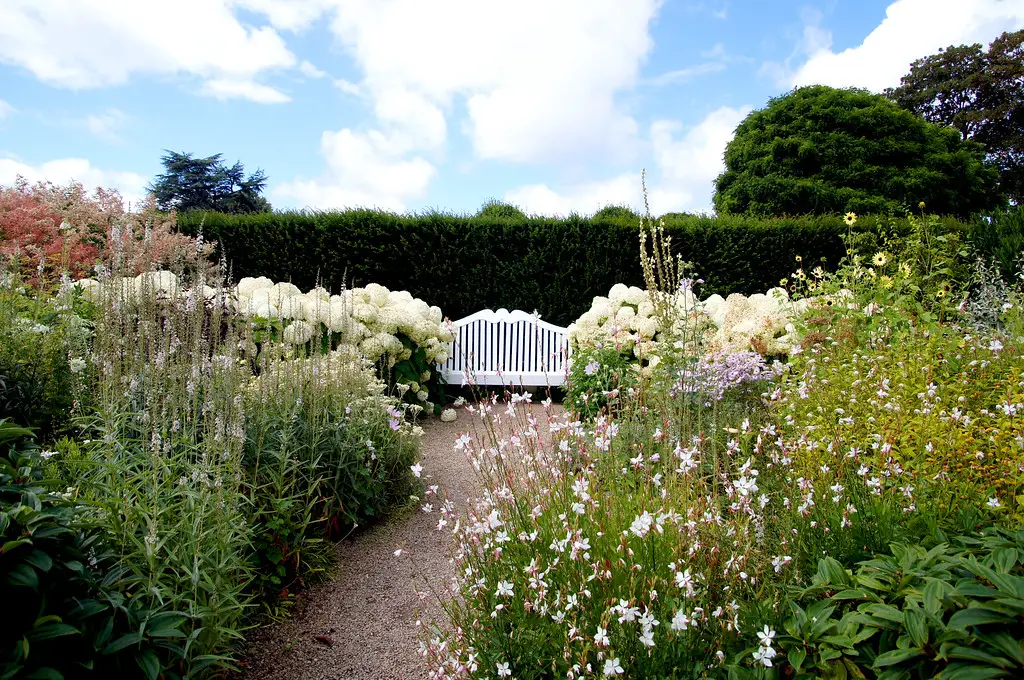 white garden at loseley park in guildford
