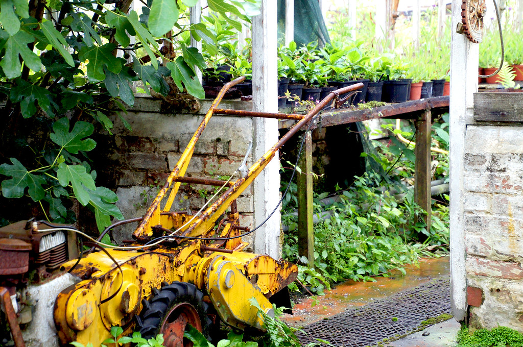 yellow lawn mower in borde hill gardens Yellow lawn mower in Borde Hill Garden