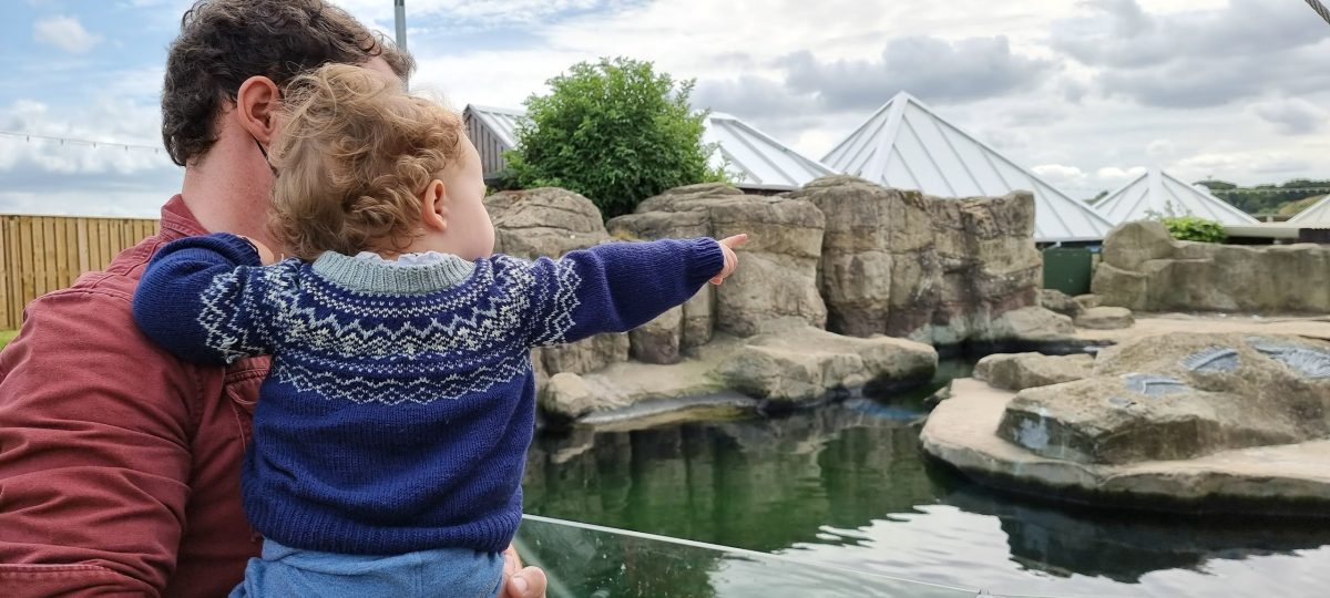 Travelling Abroad With A Baby at the aquarium 1 Dad Travelling abroad with a baby visiting the aquarium and looking at the seals