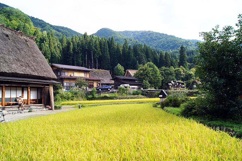2 Week Japan Itinerary Shirakawago Mountains Mountain landscape surrounding Shirakawa-go