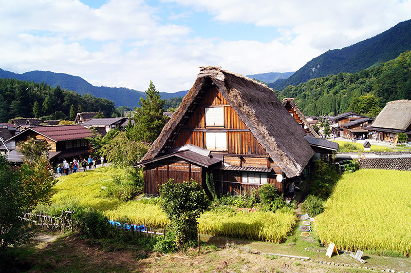 2 Week Japan Itinerary Shirakawago Traditional gassho-zukuri houses in Shirakawa-go
